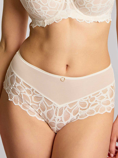 Allure Lace Full Brief