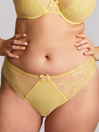 Heidi Brazilian Brief