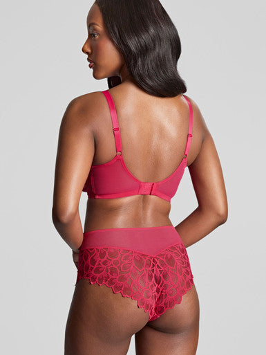 Allure Lace Full Brief