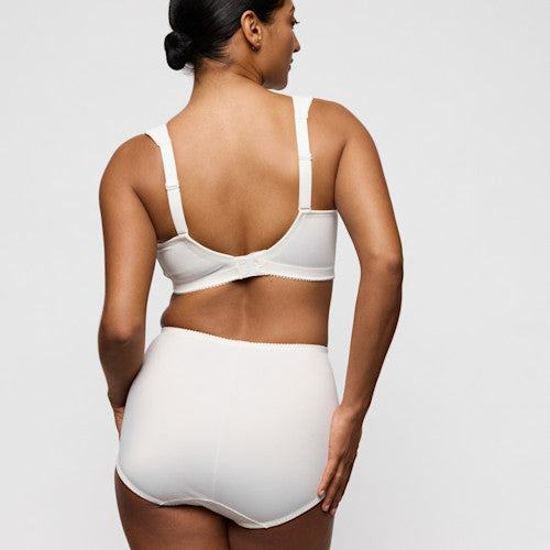 Salerno Shapewear Briefs