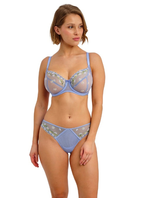 Entwined Brief
