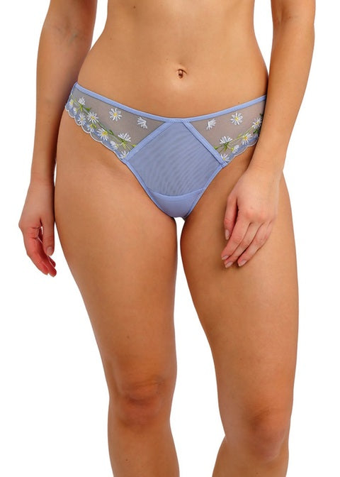 Entwined Brief