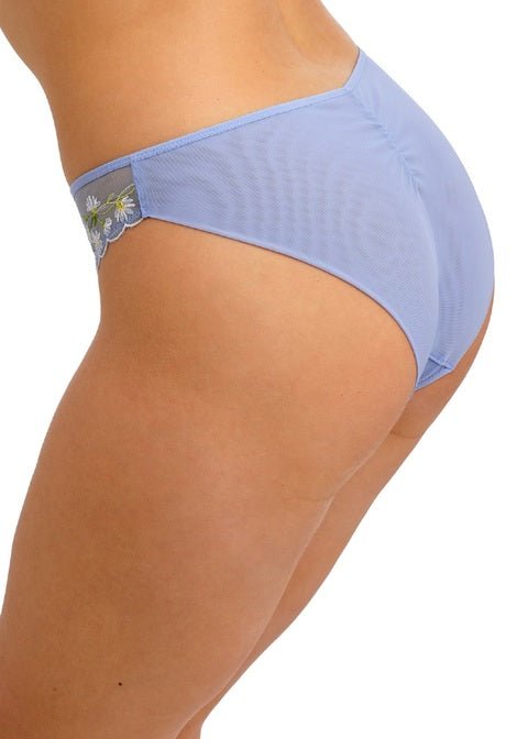 Entwined Brief
