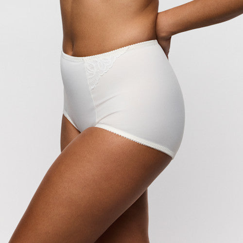 Salerno Shapewear Briefs