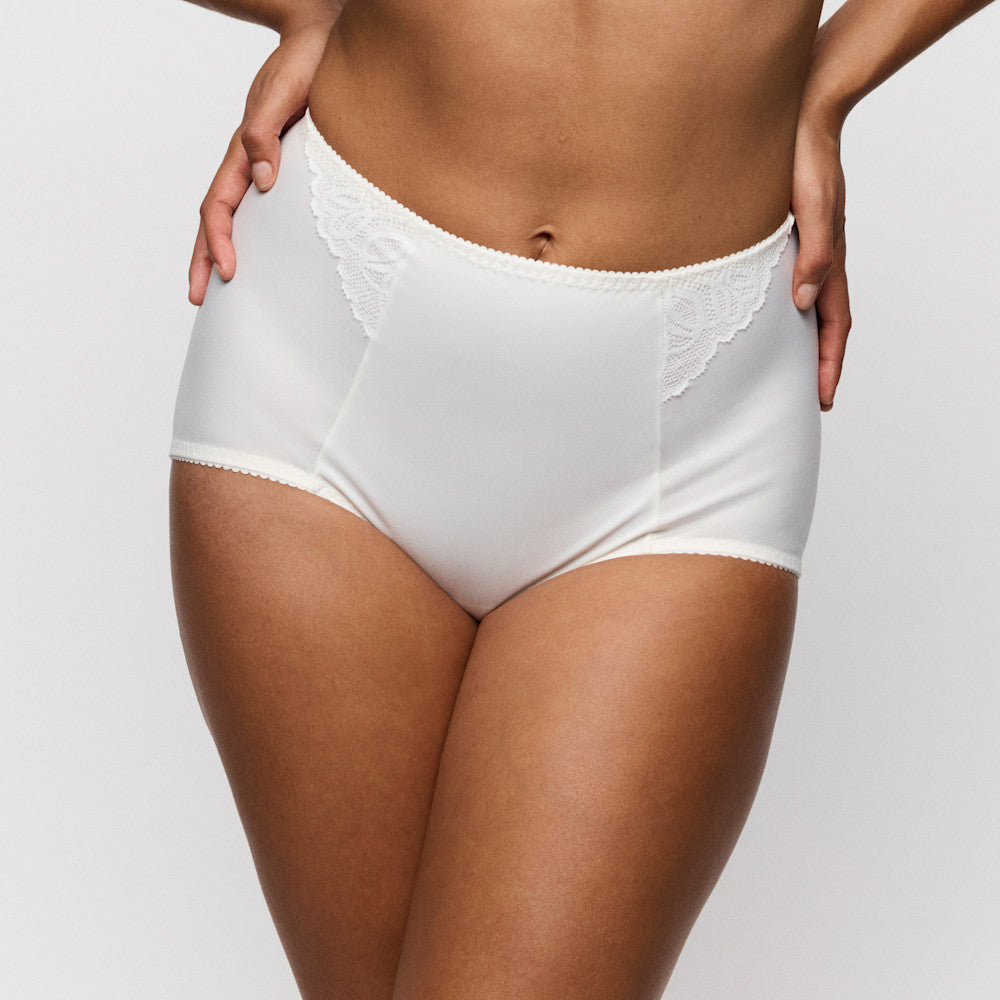 Salerno Shapewear Briefs