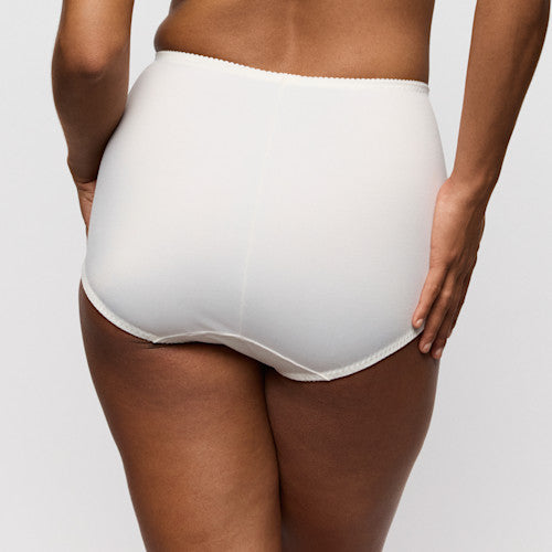 Salerno Shapewear Briefs