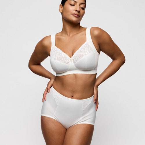 Salerno Shapewear Briefs